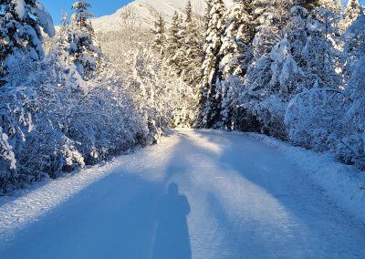 Campground – Friday 12/12