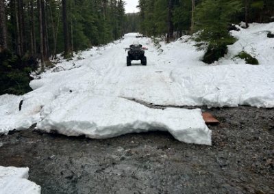 Washout and Dysentery