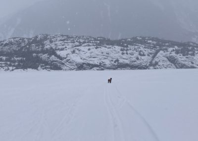 No Wind – Great Skiing