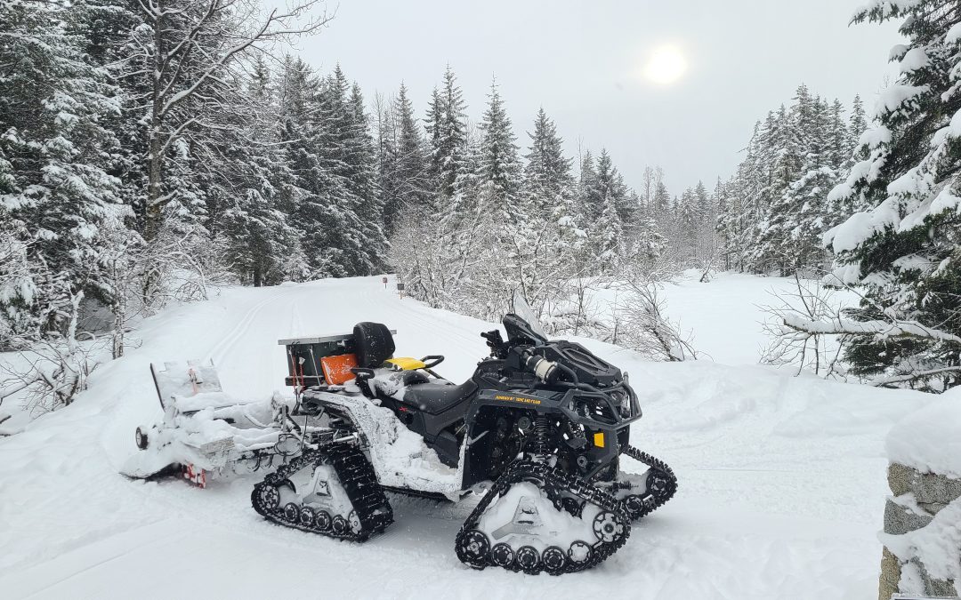 Campground Groomed at 9am
