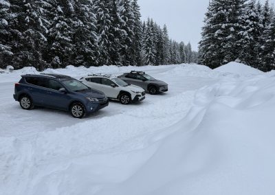 EB A BEAUTIFUL SNOWY TAPESTRY