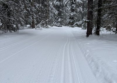 Trail conditions