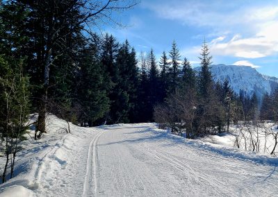 Campground & Lake groomed 11am