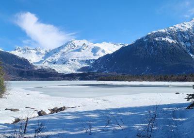 Campground Grooming Update